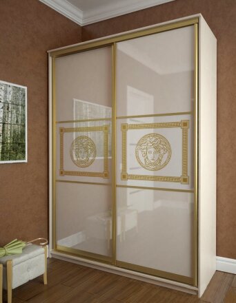 Шкаф-купе Премиум 12 